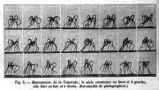 La Nature n°911 – 15 novembre 1890 – figure 3